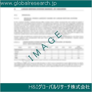 グローバルリサーチ調査資料のイメージ